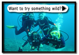 Want to try something new?